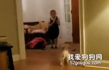 女孩收到了一只叫“金毛”的禮物，她的反應把狗子嚇哭了...