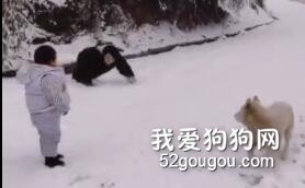 一位路人被狗狗叫了幾聲，于是……