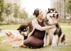 孕婦怎樣和寵物相處？