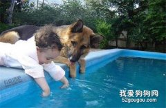 狗狗有哪些自然習性？