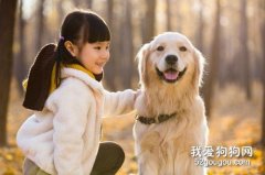 養狗經驗總結