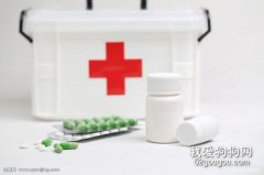 寵物常備小藥箱