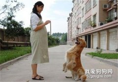懷孕了如何與寵物相伴
