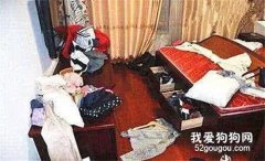 哈士奇被偷三天后，竟然又回家了，而且還帶了個字條...