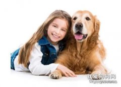 犬瘟有哪些癥狀？犬瘟的潛伏期是多久？