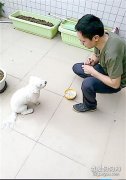 想要狗狗乖乖吃東西，請跟著學