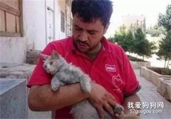 為照顧流浪貓，敘利亞男子放棄逃離戰亂城市...