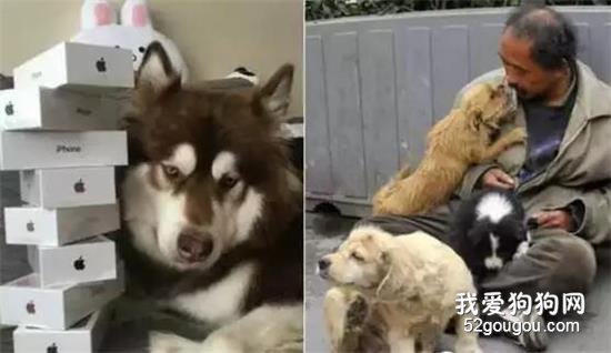 十年如一日愛著一個人，對你很難，對它卻很自然...