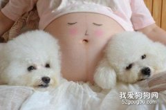 孕期養狗狗注意事項