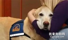 它在火災前救了整棟樓的人，在逃離時，它卻選擇守護昏迷的主人！