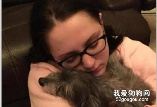 妹子想領養一只狗狗，沒想到遇上了七年前被家人送走的愛犬！