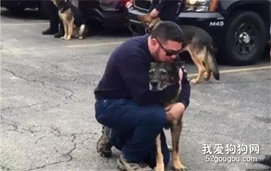 10年警犬生涯，最后離去時訓導員抱著它痛哭…