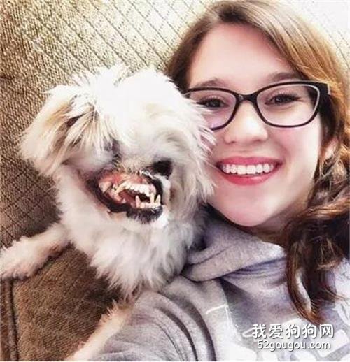 奇跡對狗狗的眷顧讓我對“生活”，有了更深刻的理解！