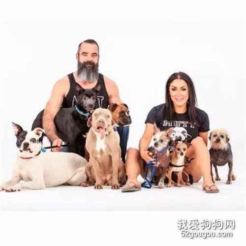 流浪狗耳朵里長了“一張嘴”，主人霸氣收養：它是最特別的！