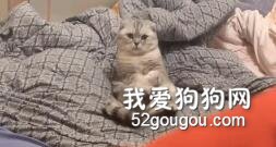 大佬我錯了我馬上改，我好好坐著還不行嗎！