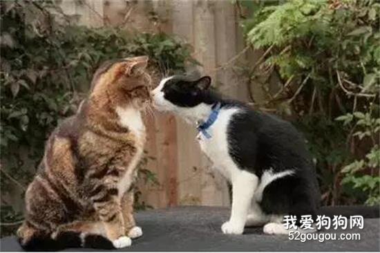 難道，這就是傳說中的愛情...？