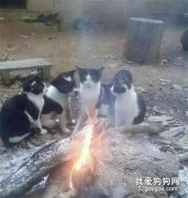 歪，幺幺零嗎？我們中好像有奸細...