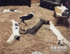 天冷后，家里電熱毯一開，跟兇案現場似得...