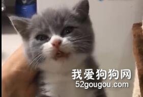 即使被扼住了命運的后頸脖，也要把嘴里的肉吞下去！