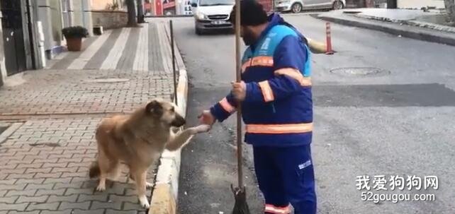 工作時遇到狗狗你會怎么辦？這位環衛工人的舉動把人暖化了…