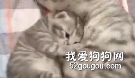 只有當媽的人才能體會到這樣的感受，內容過于真實……