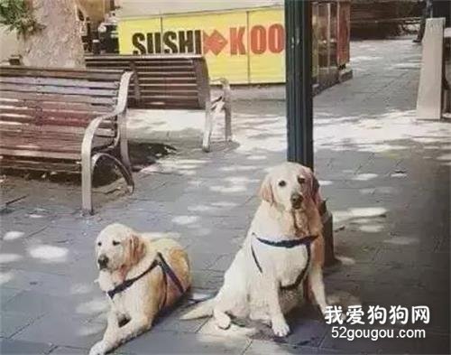 商場門口那落寞的身影，每一張都讓人心碎...
