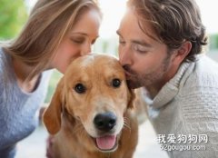 六件會讓狗狗傷心的事情，寵物主千萬別做