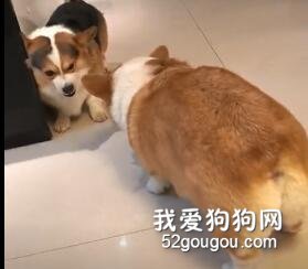 同城代吵，幫助嗓子干痛的你！