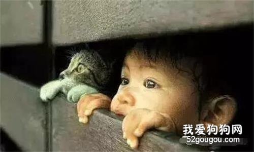 看了這些照片，真的被暖到了...