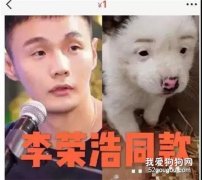 狗狗從1塊身價飆到10萬，背后的故事...