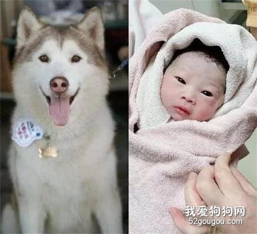 和狗狗約定要投胎回來，等女兒出生時，她看了一眼就哭了...