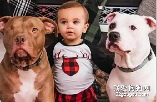 狗狗因為一場車禍失去眼睛后，才有幸遇到更值得它珍惜的人！