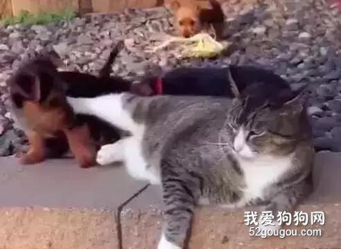這都是誰家的熊孩子，家長快過來管管啊...