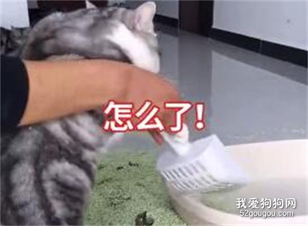 叫天天不應，叫地地不靈！