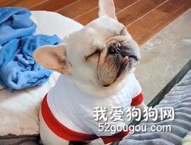 困得不行卻強打起精神，這是不是上學和上班時候的你？