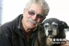 為什么有的狗狗能活到30歲？秘密可能就在這里！