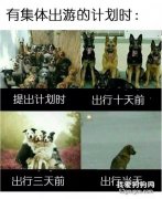 說好的來一場說走就走的旅行，怎么就........