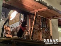 網友到一個攤位，發現老板不在，只有一只貓在，還有張紙條！