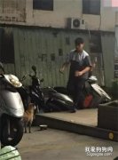 小哥哥拿出罐頭喂流浪狗，結果下一幕.....簡直帥到不行！