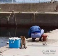 河邊，釣魚者正埋頭弄魚鉤，身后有只貓偷偷靠近之后...