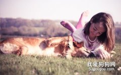 狗狗討厭的事情，狗狗最討厭的事情都有哪些？
