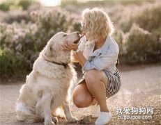 怎樣照顧好狗狗，做個合格的家長？