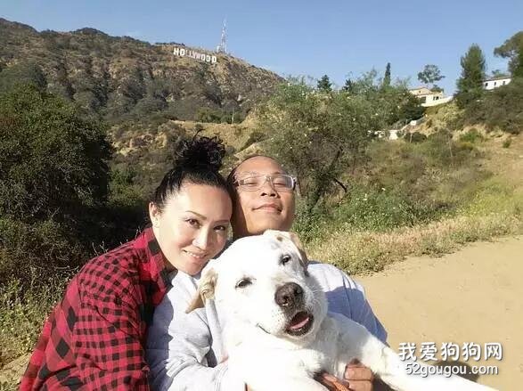 年邁老狗四處旅行，但它的主人卻十分自責：真的很對不起它......