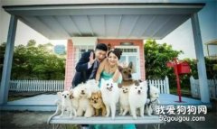 9只狗狗在5秒內被濃煙活生生嗆死，難道這還不足以引起你的重視么！