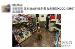 陌生狗狗每天來超市要罐頭吃，不給就不走，店員：我壓力好大啊！