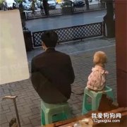 狗子發現被偷拍，它慢慢轉過身，超認真的配合著，太可愛了！