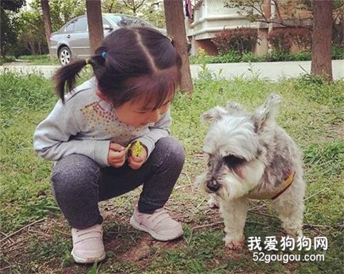 女兒問我：流浪狗有家嗎？我卻向她撒了一個謊…