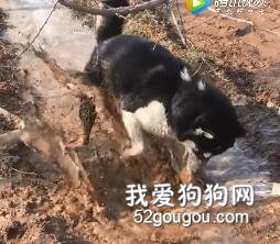 如果不是你突然闖進我生活，我怎么會年紀輕輕就氣的腦出血...