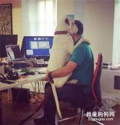 在家的時候，狗狗為什么喜歡粘著你？原因有5個！