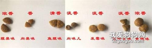教大家如何挑选好的狗粮,最简单的4步,你都学会了吗?